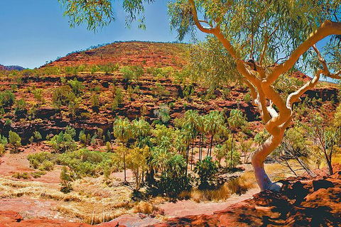 Palm Valley 4WD Tour From Alice Springs - Tourism Caloundra 6