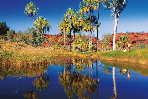 Palm Valley 4WD Tour From Alice Springs - Tourism Caloundra 3