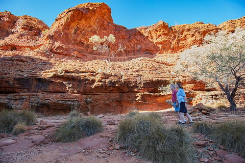 Coach Transfer From Ayers Rock To Kings Canyon - Tourism Caloundra 7