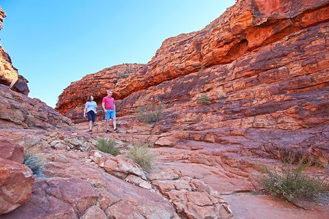 Coach Transfer From Kings Canyon To Alice Springs - Tourism Caloundra 4