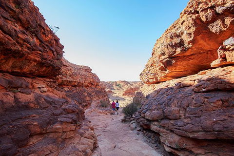 Coach Transfer From Kings Canyon To Alice Springs - Tourism Caloundra 7