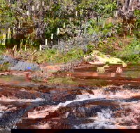 Litchfield National Park Day Tour from Darwin With Waterfalls And Buley Rockhole - Tourism Caloundra