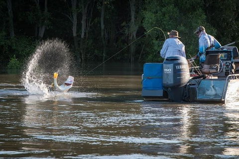 Freshwater Or Saltwater Barramundi Fishing Day Trip From Darwin - Tourism Caloundra 1