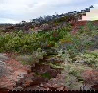 Palm Valley and Hermannsburg 1 Day 4WD Tour - Tourism Caloundra