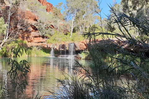 20 Day Darwin To Perth Adventure - Tourism Caloundra 10