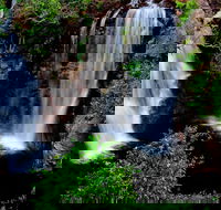 Litchfield Dreams 1 Day National Park Waterfall Swimming  Jumping Croc Cruise - Tourism Caloundra