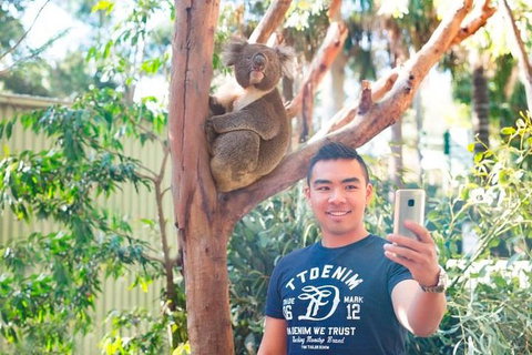 All Inclusive Full-Day Blue Mountains Trip From Sydney - Tourism Caloundra 1