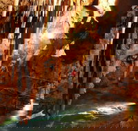 Jenolan Caves and Blue Mountains Tour from Sydney - Tourism Caloundra