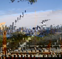Sydney Taronga Zoo's Australian Animals Tour - Tourism Caloundra