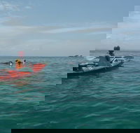 Kayaking with Dolphins in Byron Bay Guided Tour - Tourism Caloundra