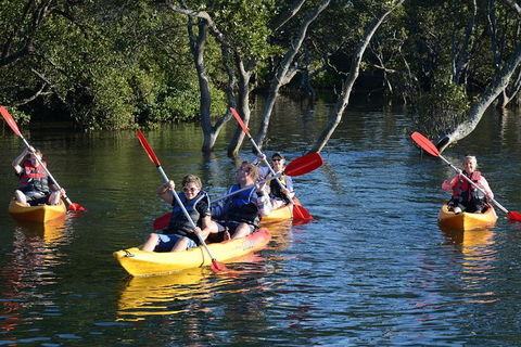 Kayak And SUP Guided Tours - Tourism Caloundra 0