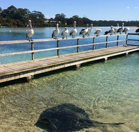 The Eurobodalla Experience Full day private tour including lunch - Tourism Caloundra