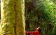 3 Day Murramarang Coast Journey From Batemans Bay With Meals And Villa Accom - thumb 4