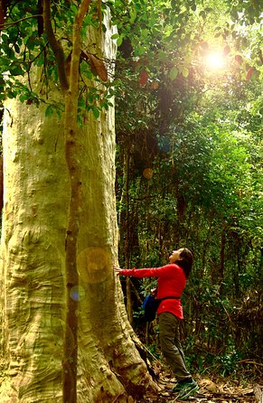 3 Day Murramarang Coast Journey From Batemans Bay With Meals And Villa Accom - Tourism Caloundra 4