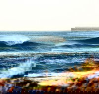 7-Day Byron Bay Evans Head and Moonee Beach Surf Safari from Brisbane Gold Coast or Byron Bay - Tourism Caloundra