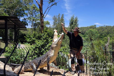 Private Shoalhaven Zoo Experience From Sydney - Tourism Caloundra 0