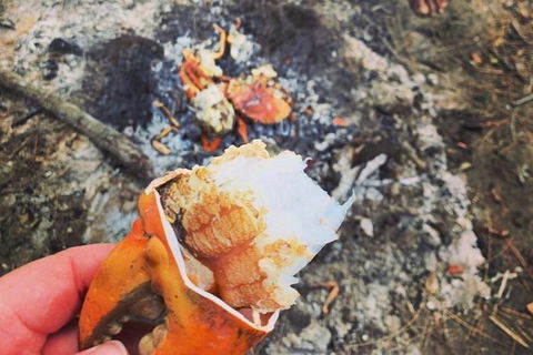 Pot To Plate Adventure - Tourism Caloundra 4