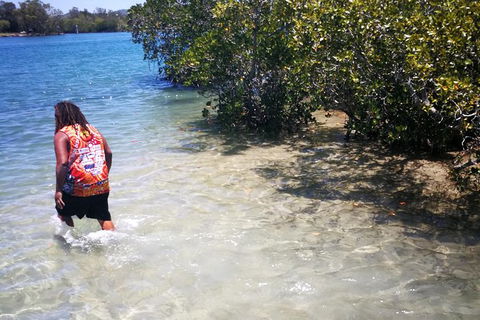 Pot To Plate Adventure - Tourism Caloundra 3