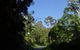 Mount Warning Day Trip From Byron Bay Including BBQ Lunch - thumb 6