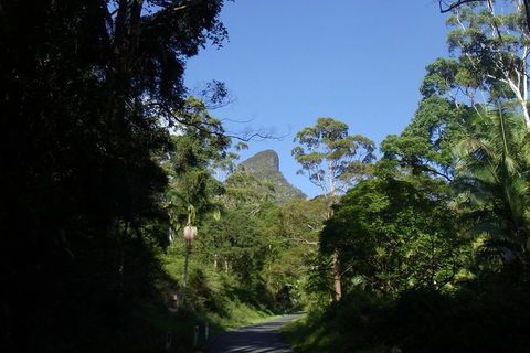 Mount Warning Day Trip From Byron Bay Including BBQ Lunch - Tourism Caloundra 6