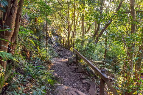 Mount Warning Day Trip From Byron Bay Including BBQ Lunch - Tourism Caloundra 9