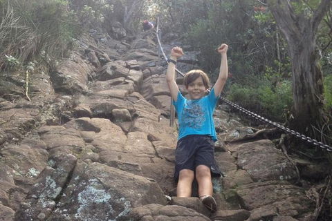 Mount Warning Day Trip From Byron Bay Including BBQ Lunch - Tourism Caloundra 8