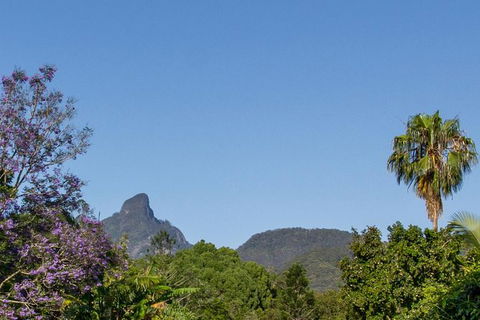 Mount Warning Day Trip From Byron Bay Including BBQ Lunch - Tourism Caloundra 3