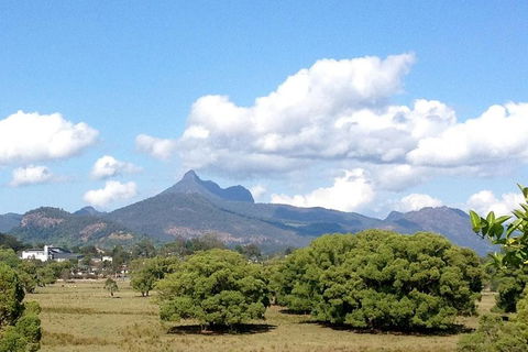 Mount Warning Day Trip From Byron Bay Including BBQ Lunch - Tourism Caloundra 7