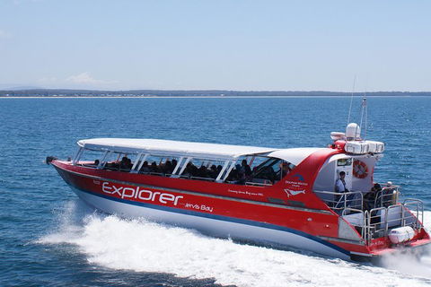 Whale Watching Jervis Bay - Tourism Caloundra 1