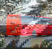 SkyBus Byron Bay Express - Tourism Caloundra