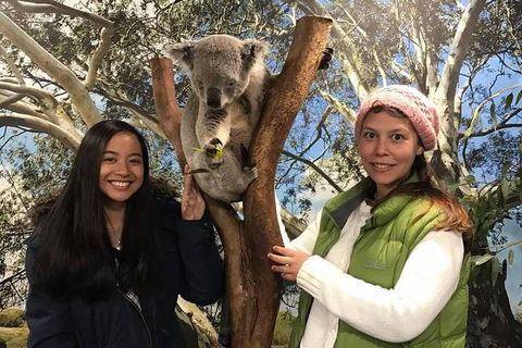 Australia Multi-City Attractions Pass - Tourism Caloundra 2