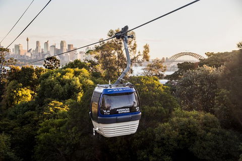 Australia Multi-City Attractions Pass - Tourism Caloundra 5