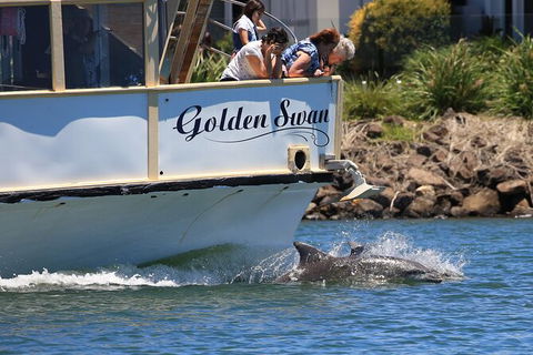 Tweed River And Rainforest Eco Cruise - Tourism Caloundra 2