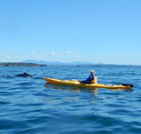 Whale Watching by Sea Kayak in Batemans Bay - Tourism Caloundra