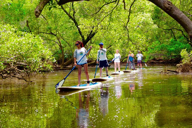 Myocum NSW Tourism Caloundra