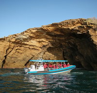 Hunter Coastal Adventure Tour by Boat from Newcastle - Tourism Caloundra