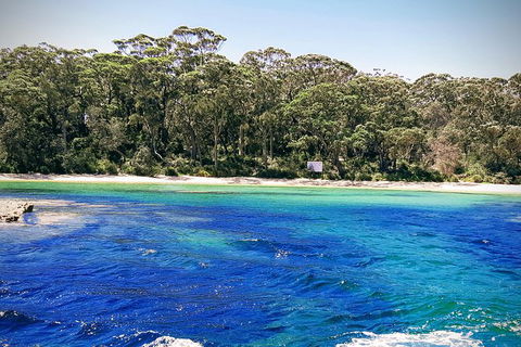 Jervis Bay Passage Tour - Tourism Caloundra 1