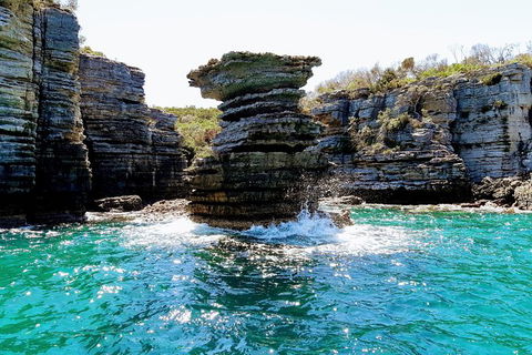Jervis Bay Passage Tour - Tourism Caloundra 15