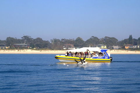 Jervis Bay Passage Tour - Tourism Caloundra 16