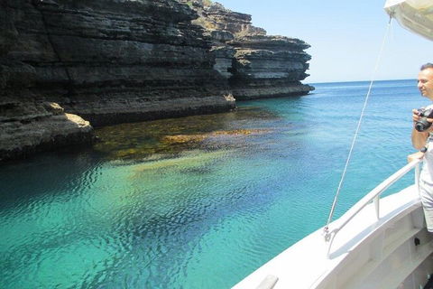 Jervis Bay Passage Tour - Tourism Caloundra 14
