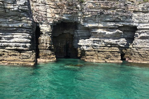 Jervis Bay Passage Tour - Tourism Caloundra 13