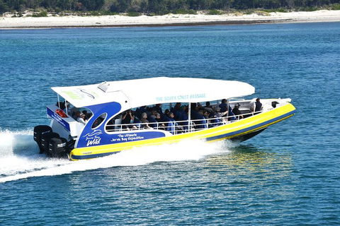 Jervis Bay Passage Tour - Tourism Caloundra 11
