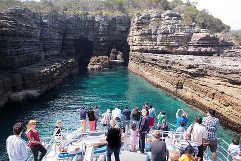 Jervis Bay Passage Tour - Tourism Caloundra 3