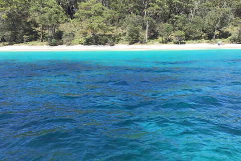 Jervis Bay Passage Tour - Tourism Caloundra 5