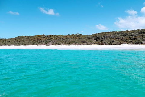 Jervis Bay Passage Tour - Tourism Caloundra 10