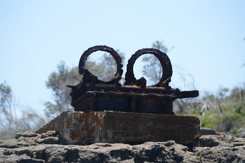Jervis Bay Passage Tour - Tourism Caloundra 4