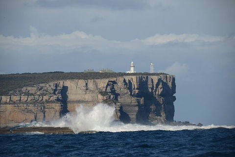 Jervis Bay Passage Tour - Tourism Caloundra 8