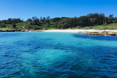 Jervis Bay Passage Tour - Tourism Caloundra 2