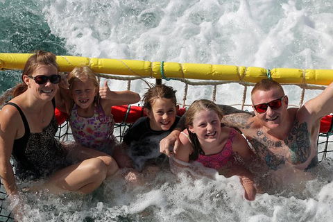 Jervis Bay Boom Netting And Dolphins Tour - Tourism Caloundra 0