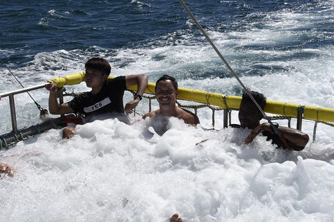 Jervis Bay Boom Netting And Dolphins Tour - Tourism Caloundra 9